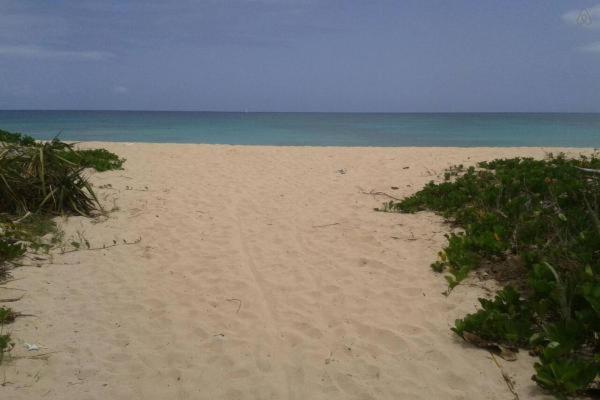 Beach Nest Apt. 2 Bridgetown Exterior foto